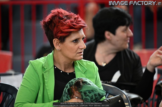 2024-05-18 Milano in the Cage 12 01525 Miscellaneous